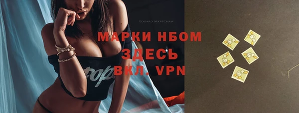 ALPHA PVP Осинники