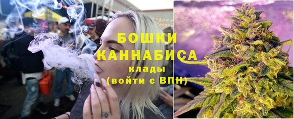 ALPHA PVP Осинники