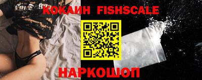 ешки Гай