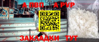ешки Гай