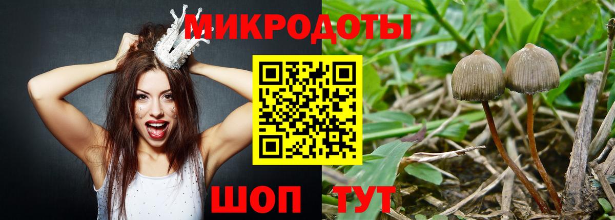 Людиново  Псилоцибиновые грибы прущие грибы  Вход с VPN 